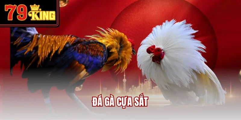 da-ga-cua-sat