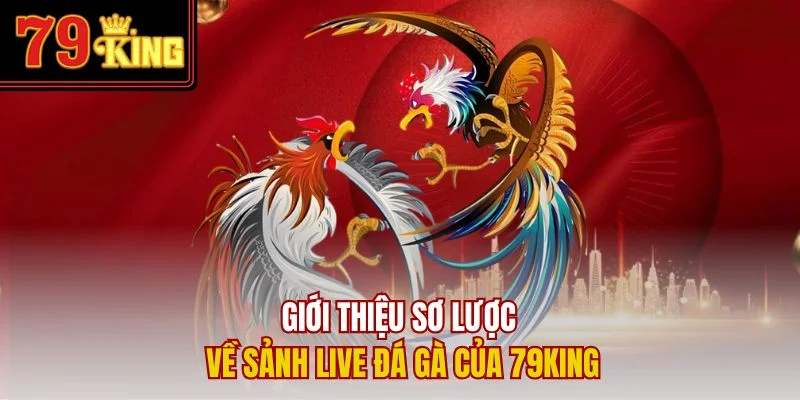 Giới thiệu sơ lược về sảnh live đá gà của 79King