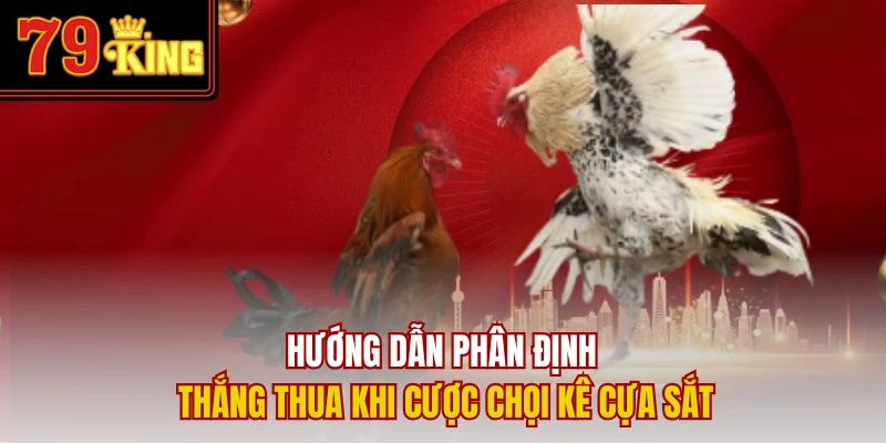 Hướng dẫn phân định thắng thua khi cược chọi kê cựa sắt