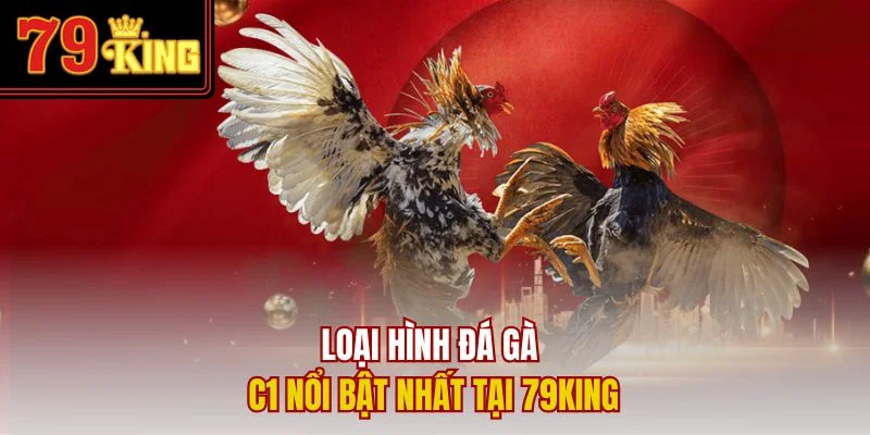 Loại hình đá gà C1 nổi bật nhất tại 79King