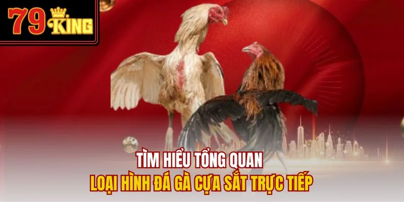 Tìm hiểu tổng quan loại hình đá gà cựa sắt trực tiếp