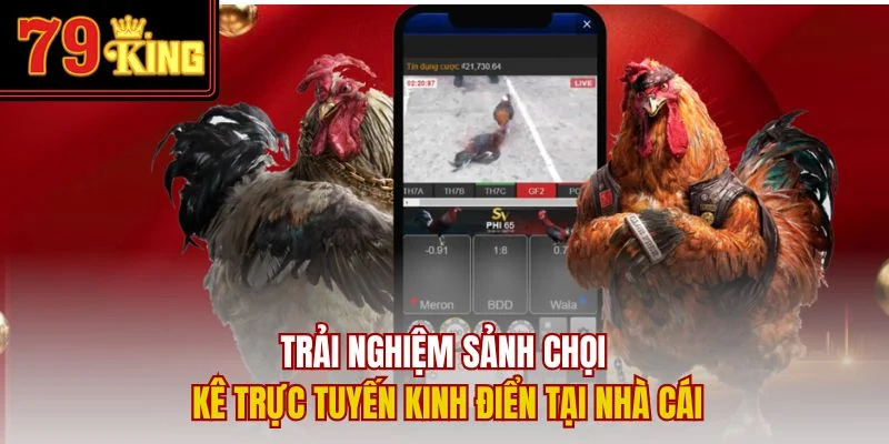 Trải nghiệm sảnh chọi kê trực tuyến kinh điển tại nhà cái